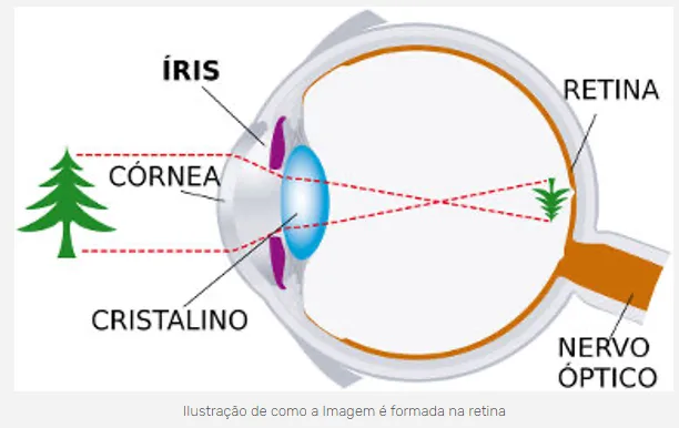 Imagem da matéria