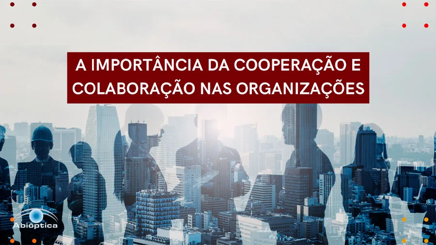 A importância da Cooperação e Colaboração nas Organizações
