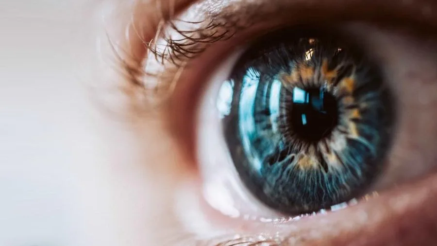 Dia Mundial do Glaucoma e a importância do acompanhamento adequado