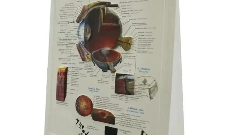 Olho Quadro