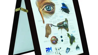 Olho Quadro com Moldura