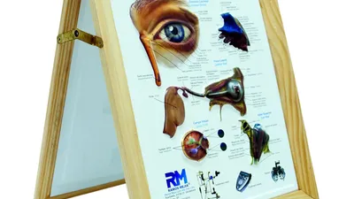 Olho Quadro com Moldura