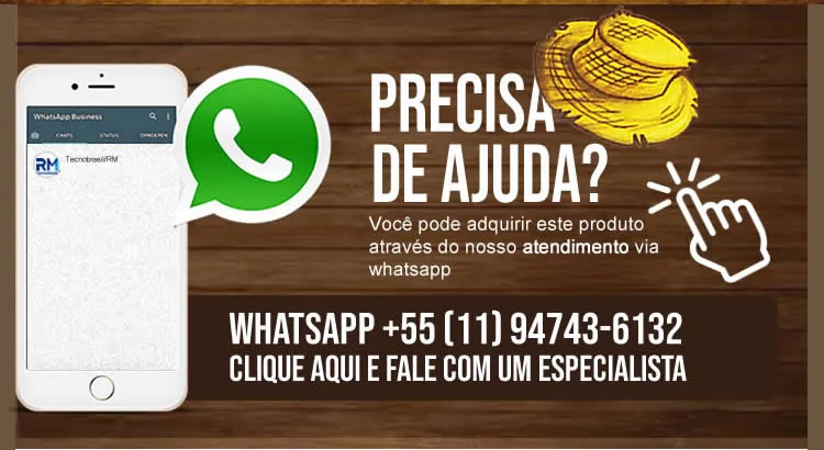 Cadeira e Coluna